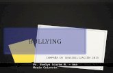 Presentación bullying