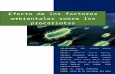 4. efecto de los factores ambientales sobre los procariotas