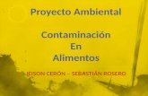 Proyecto total Contaminacion en alimentos