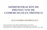 Administración de proyectos de comercio electrónico