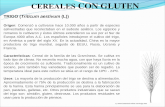 Cereales con gluten