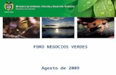 Negocios Verdes, Panel política pública - presentación Min. Ambiente Carlos Costa