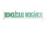 Biomoleculas inorganicas