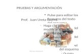 15 03-11 penal  dr ureta - pruebas y argumentacion