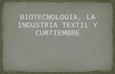 Biotecnologia, la industria_textil_y_curtiembre[1]