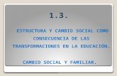 Tema 1.3 estructura y cambio social. natalia simón.