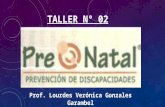 Taller prenatal n02