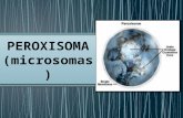 PEROXISOMA (MICROSOMAS) CLASE 13