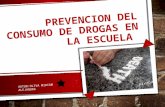PREVENCION DEL CONSUMO DE DROGAS EN LA ESCUELA