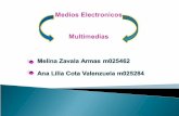 Medios Electronicos 2 03