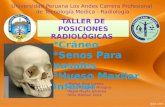 posiciones basicas del craneo en radiologia
