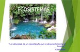Ecosistemas y factores que influyen en un ecosistema