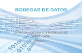 Introducción Bodegas de Datos (DWH)
