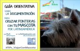 Guía orientativa sobre la Documentación para Cruzar Fronteras con tu Mascota por Latinoamérica