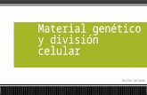 Material genético y división celular