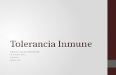 Curso Inmunologia 17 Tolerancia inmune