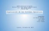 Organizacion de los sistemas operativos