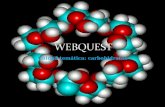 webquest carbohidratos