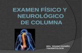Examen Físico y neurológico de columna vertebral