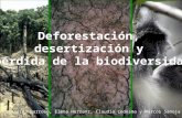 deforestacion,desertizacion y medidas de prevencion!