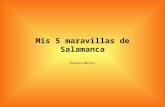 Mis 5 Maravillas De Salamanca