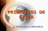 5 principios de etica