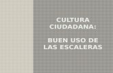 Cultura ciudadana -  grupo andrea