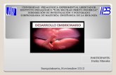 Presentación desarrollo embrionario