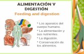 Alimentación y digestión