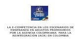 LA E-COMPETENCIA EN LOS ESCENARIOS DE ENSEÑANZA EN ADULTOS PROMOVIDOS POR LA AGENCIA COLOMBIANA  PARA LA REINTEGRACIÓN (ACR) EN COLOMBIA