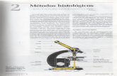 2 metodos-histologicos1