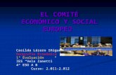 El Comité Económico y Social