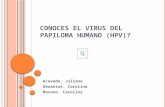 Conoces el virus del papiloma humano
