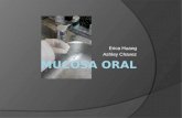 Celulas de la mucosa oral