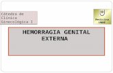 Hemorragia genital externa 2009