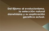 Del fijismo al evolucionismo, la selección natural, y darwin
