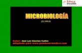 Microbiologia virus