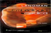LAGMAN  Embriología médica  12ª edición