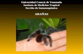 Conferencia arañas mérida final (DR. ALEXIS RODRÍGUEZ)