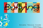 presentación de Bullying