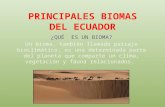 Sexto 4.  principales biomas del ecuador