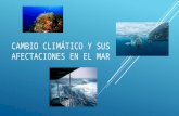 El cambio climático, cómo afecta a los océanos