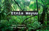 Etnia Wayuu