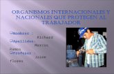 Organismos Internacionales y Nacionales que protegen al Trabajador