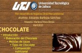 Chocolate y caracteristicas