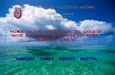 Congreso Internacional Islas Del Golfo Callo
