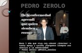 Pedro zerolo