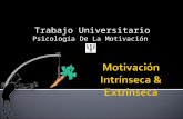 Psicologia de la moticacion   motivaciones intrinsecas y extrinsecas