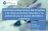 Actividad antibacteriana del propóleo y de otros productos naturales y su potencial uso en pastas dentales o colutorios
