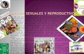 Derechos sexuales y reproductivos s